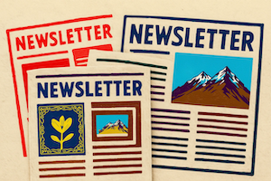 Three different newsletter styles available
